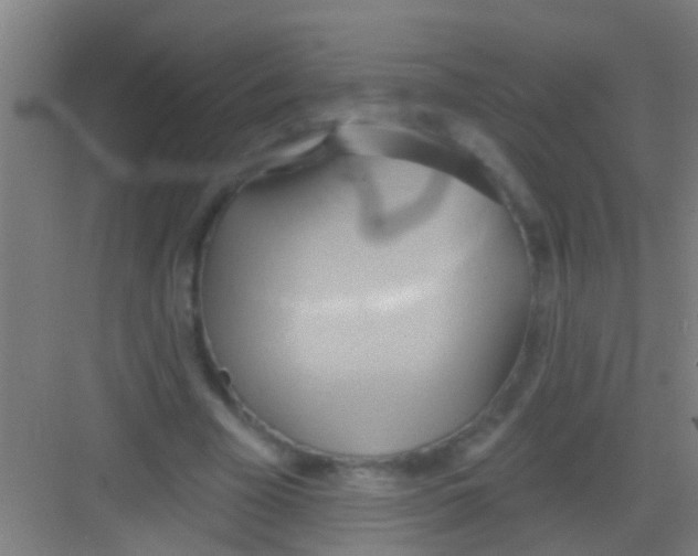 X0000081300585200702082046