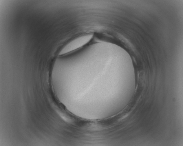 X0000081300589200702082046