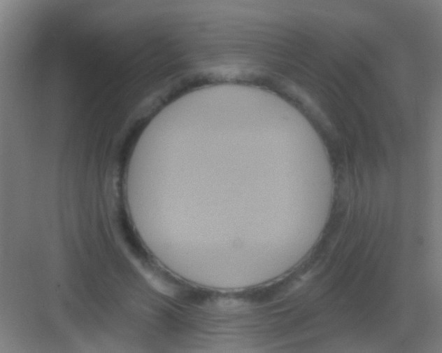 X0000081300590200702082046