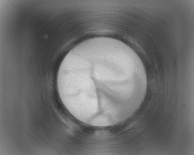 X0000081300591200702082046