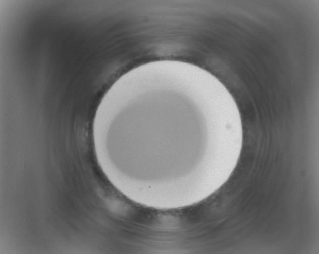 X0000081300592200702082046