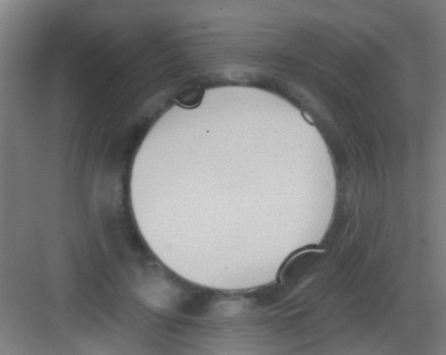 X0000081300595200702082046