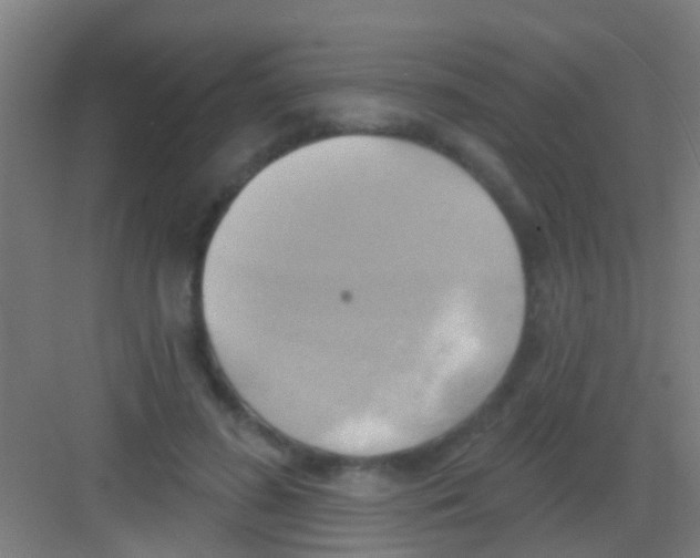 X0000081300596200702082046