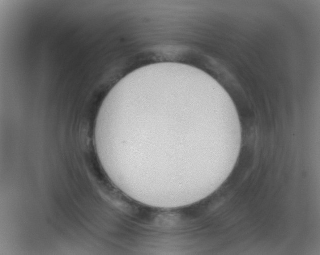 X0000081300599200702082046