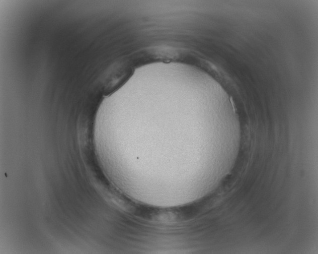 X0000081300600200702082046