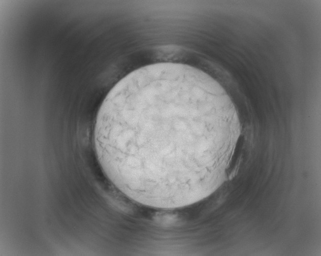 X0000081300602200702082046