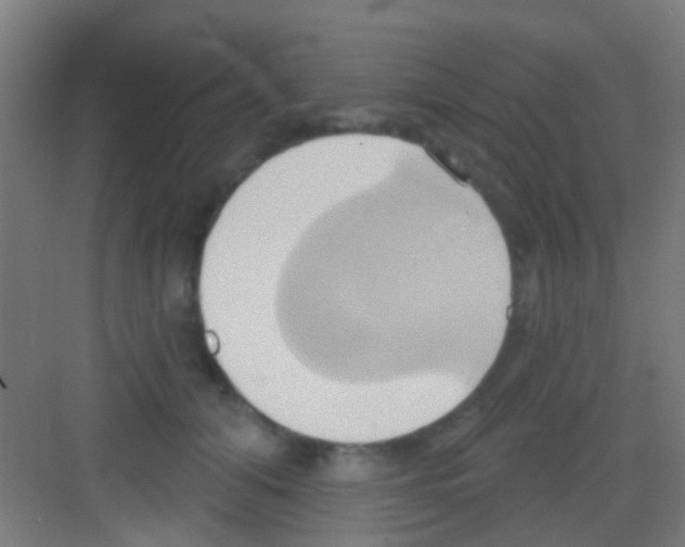 X0000081300608200702082046