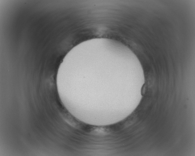 X0000081300611200702082046