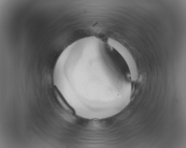 X0000081300613200702082046