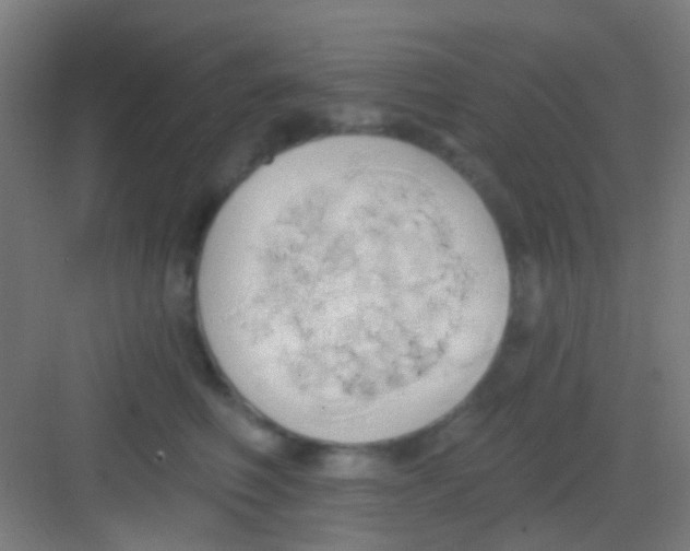 X0000081300614200702082046