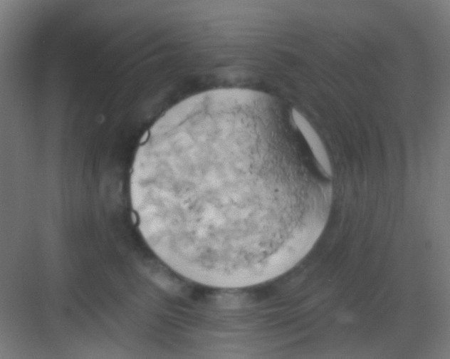 X0000081300615200702082046