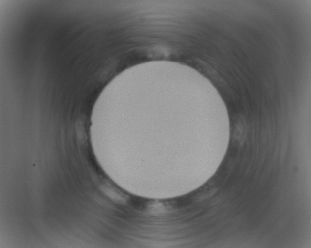 X0000081300616200702082046