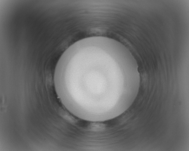 X0000081300617200702082046