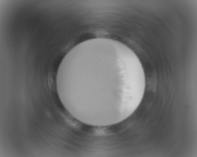 X0000081300618200702082046