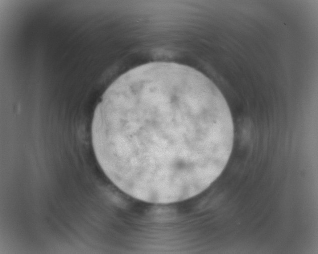 X0000081300619200702082046