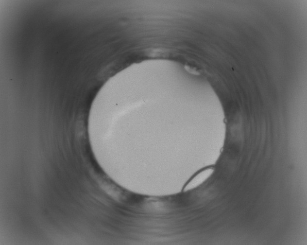 X0000081300620200702082046