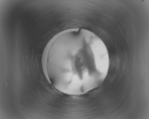 X0000081300623200702082046