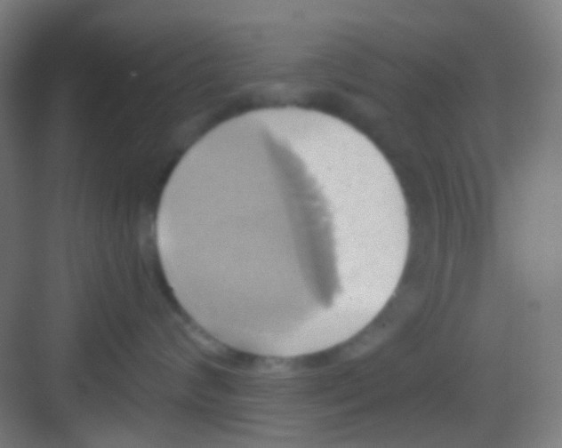 X0000081300624200702082046