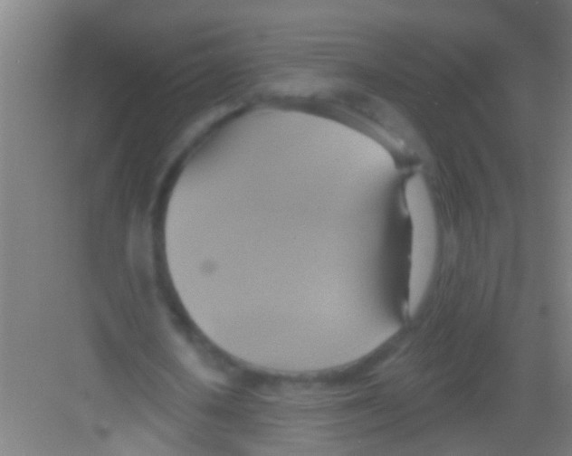 X0000081300626200702082045