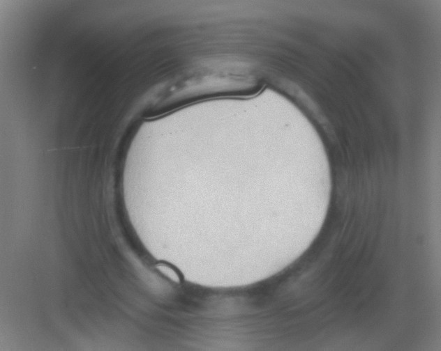 X0000081300629200702082045