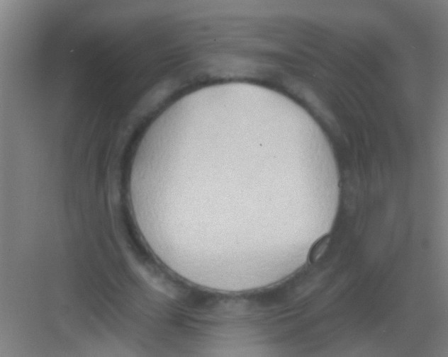 X0000081300631200702082045