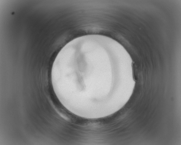 X0000081300638200702082045