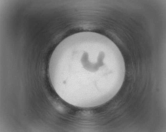 X0000081300639200702082045