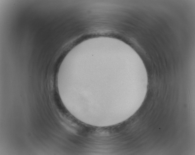 X0000081300640200702082045