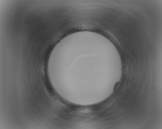 X0000081300643200702082045