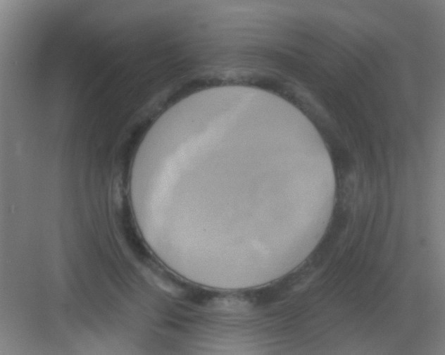 X0000081300644200702082045