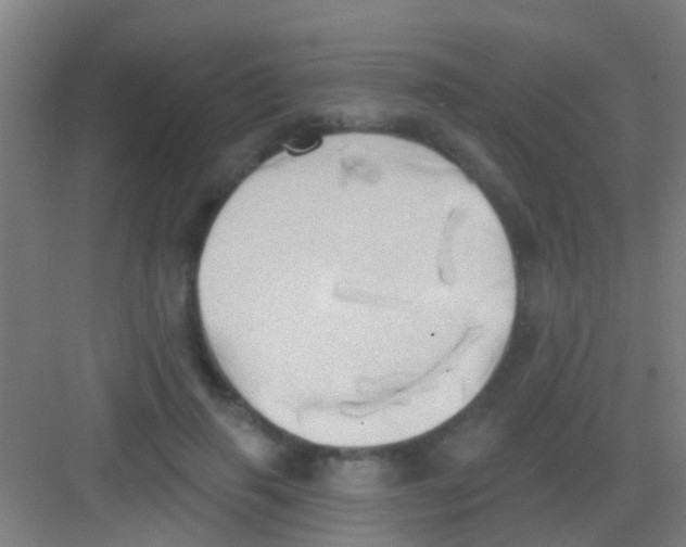 X0000081300645200702082045