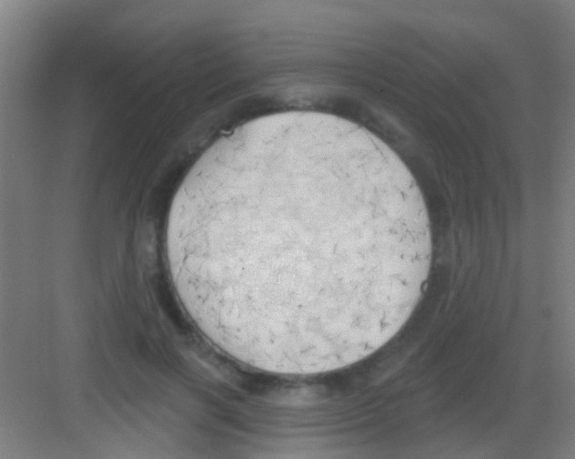 X0000081300646200702082045