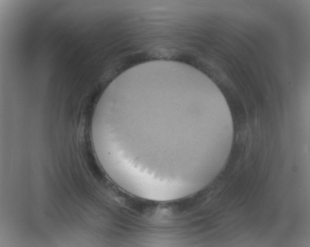 X0000081300647200702082045