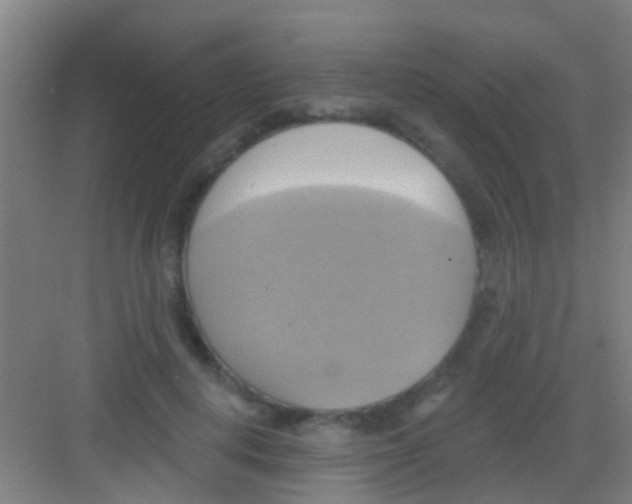 X0000081300648200702082045