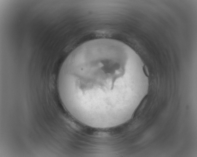 X0000081300649200702082045