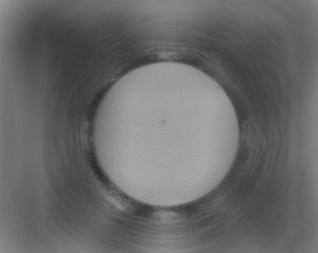 X0000081300650200702082045