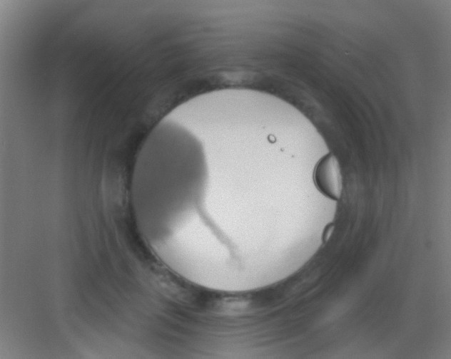 X0000081300651200702082045