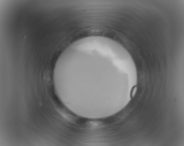 X0000081300654200702082045