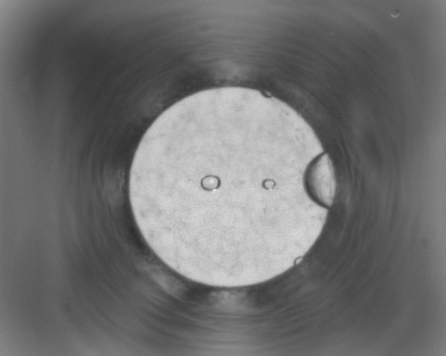 X0000081300660200702082046