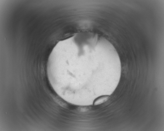 X0000081300662200702082046