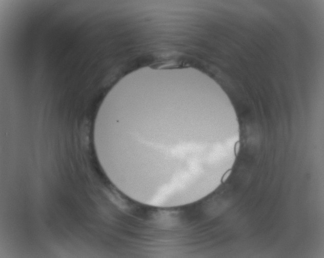 X0000081300664200702082046