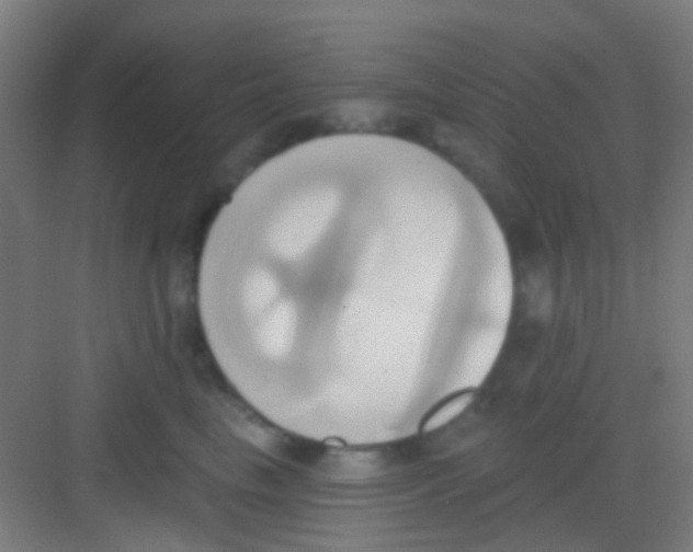 X0000081300665200702082046