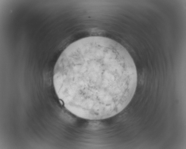 X0000081300666200702082046