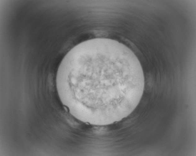 X0000081300667200702082046