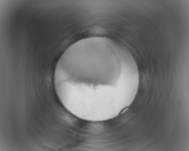 X0000081300668200702082046