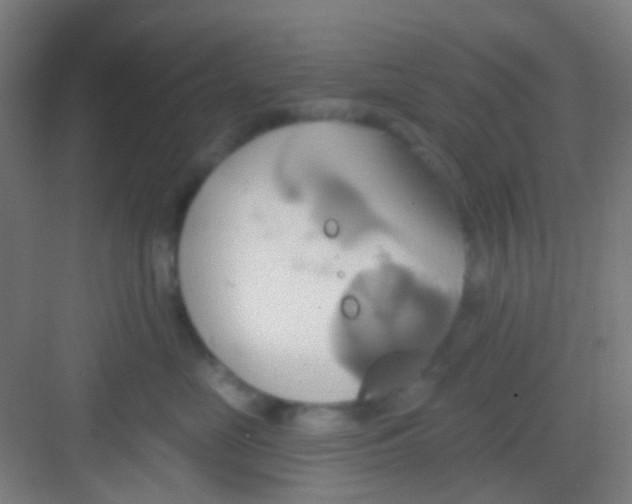 X0000081300669200702082046