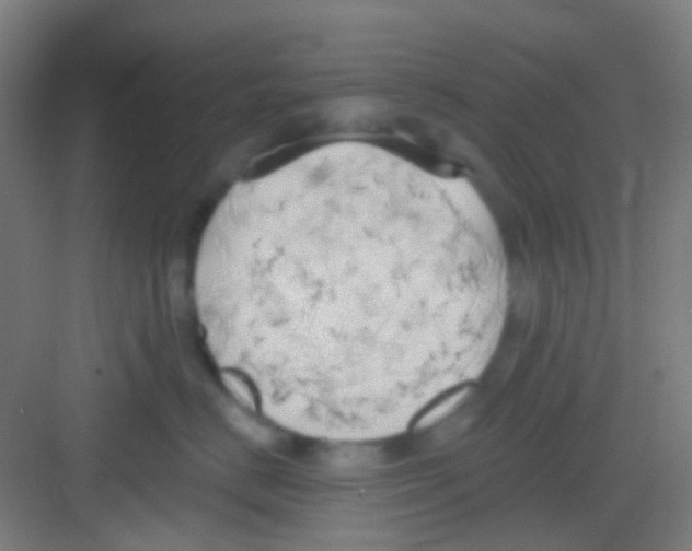 X0000081300670200702082046