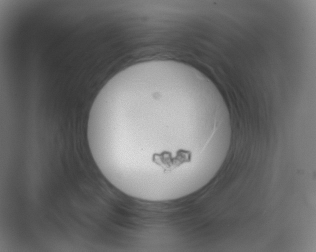 X0000081300672200702082046