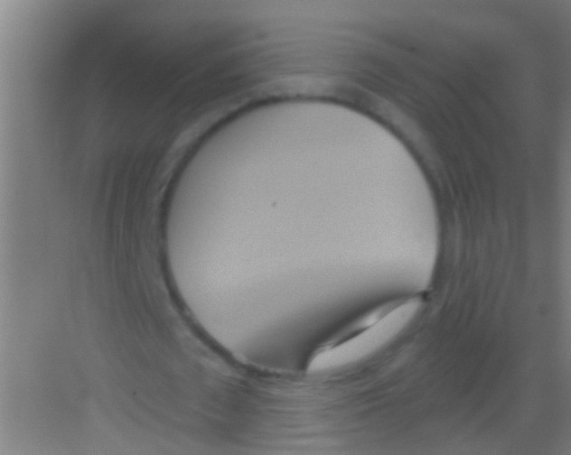 X0000081300673200702082045