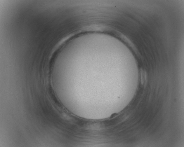 X0000081300675200702082045